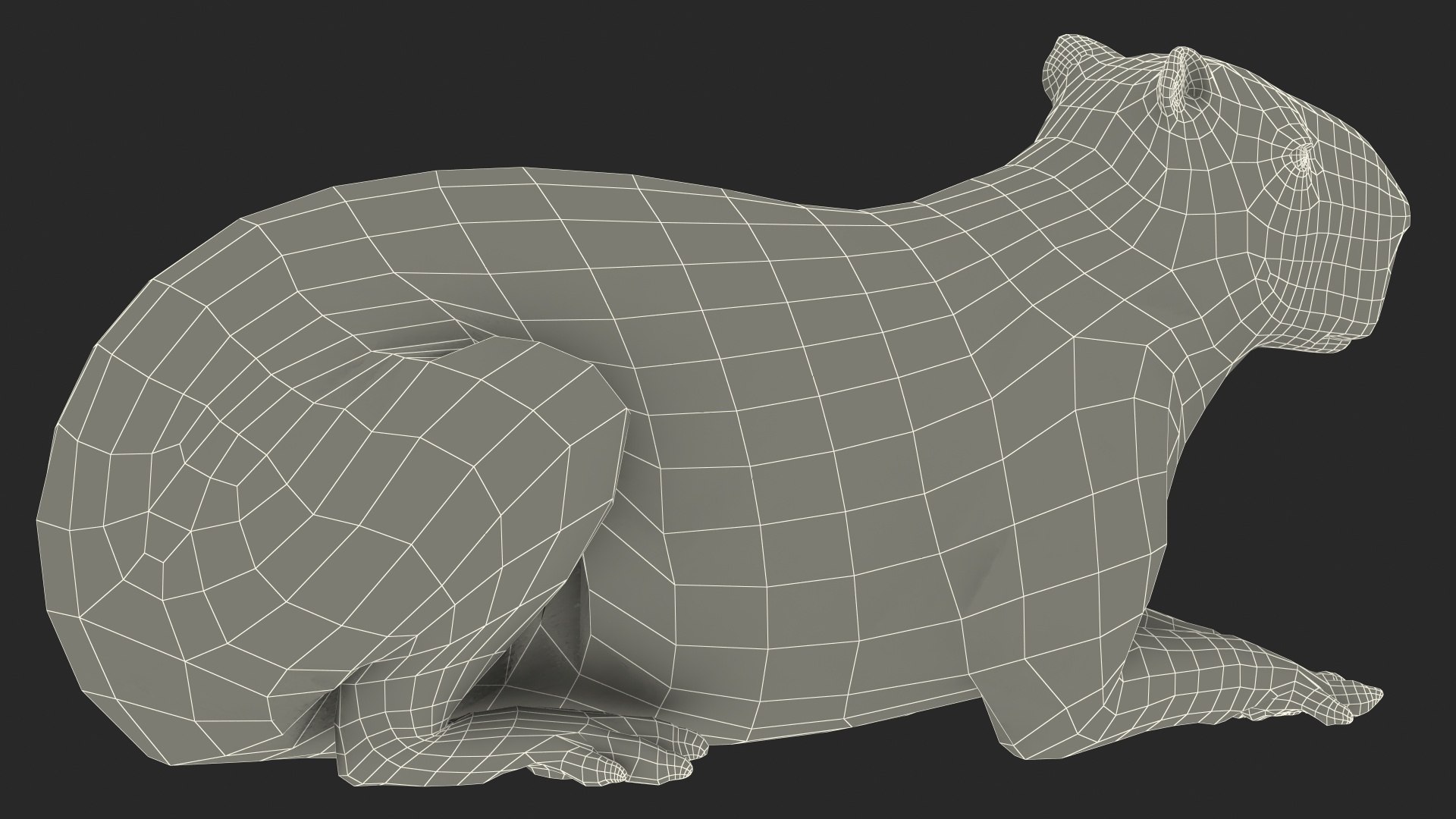 3D model South America Mammals Collection https://p.turbosquid.com/ts-thumb/A3/2ZPoyd/5C/southamericamammalscollectionc4dmodel041/jpg/1692862158/1920x1080/fit_q87/7c000847f26df8d59388bc99750f5251bd174c53/southamericamammalscollectionc4dmodel041.jpg