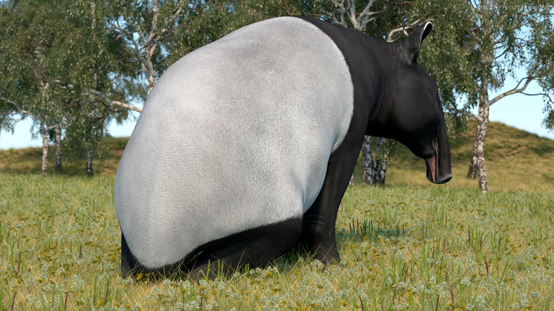 3D model South America Mammals Collection https://p.turbosquid.com/ts-thumb/A3/2ZPoyd/9A/southamericamammalscollectionc4dmodel013/jpg/1692862054/1920x1080/fit_q87/fd7eeda92e134adf878917f7ddd5ca7d431c74e0/southamericamammalscollectionc4dmodel013.jpg