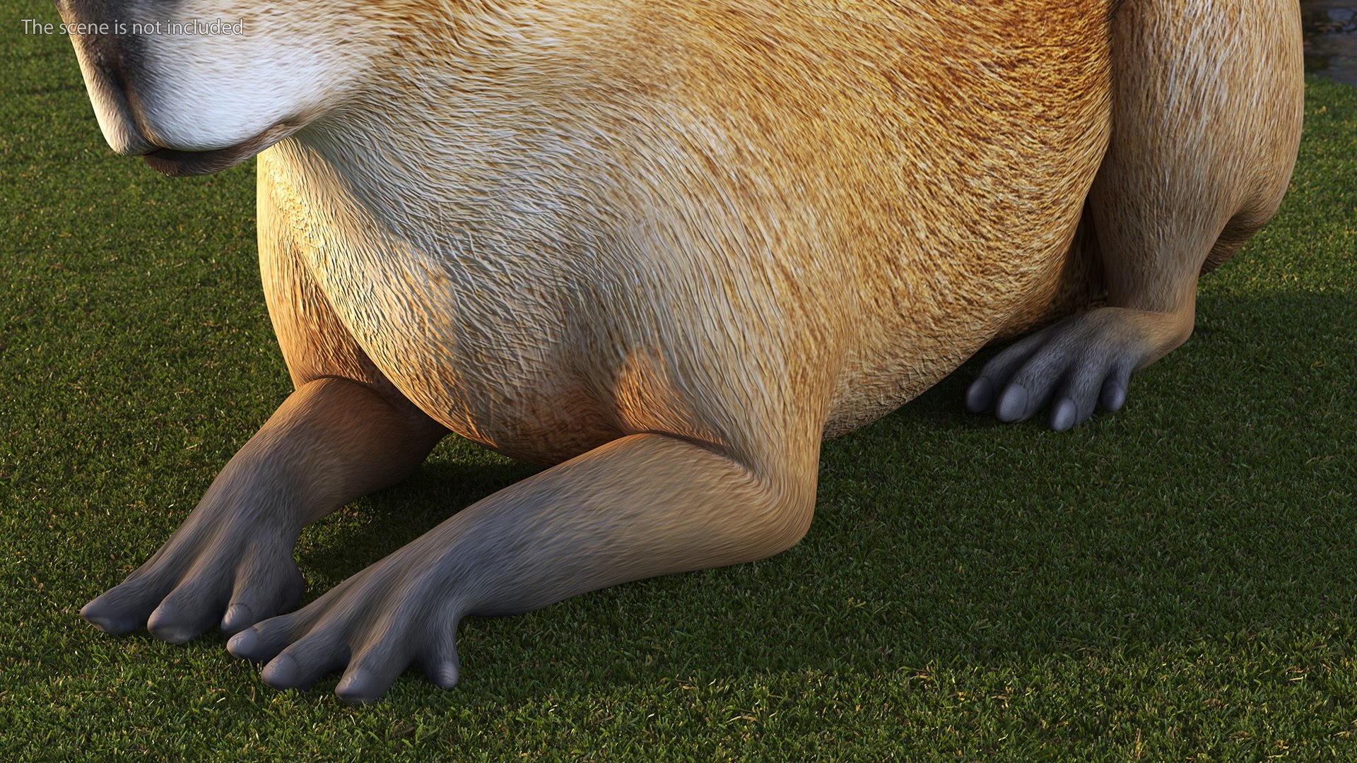 3D model South America Mammals Collection https://p.turbosquid.com/ts-thumb/A3/2ZPoyd/R1/southamericamammalscollectionc4dmodel005/jpg/1692862019/1920x1080/fit_q87/02901f336deeef4bdefd556fe145e0096059f96a/southamericamammalscollectionc4dmodel005.jpg