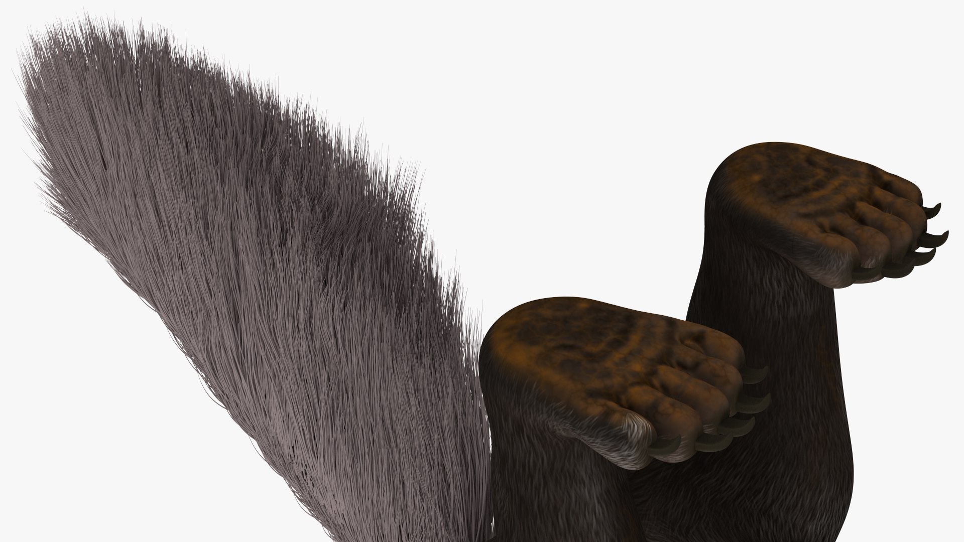 3D model South America Mammals Collection https://p.turbosquid.com/ts-thumb/A3/2ZPoyd/RX/southamericamammalscollectionc4dmodel039/jpg/1692862151/1920x1080/fit_q87/ea4f6143fba92027739768d148e86b5d9db30bc5/southamericamammalscollectionc4dmodel039.jpg
