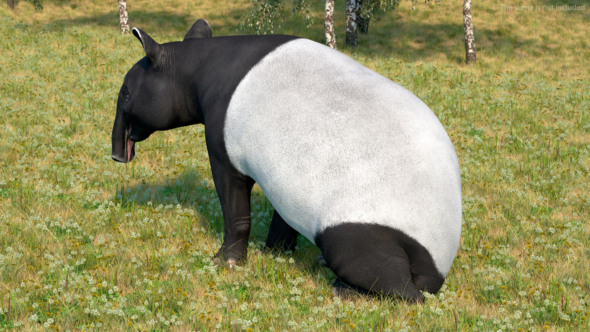 3D model South America Mammals Collection https://p.turbosquid.com/ts-thumb/A3/2ZPoyd/eO/southamericamammalscollectionc4dmodel012/jpg/1692862049/1920x1080/fit_q87/15bda42e3c437f22e1effce8b7ec5c76eec7557e/southamericamammalscollectionc4dmodel012.jpg