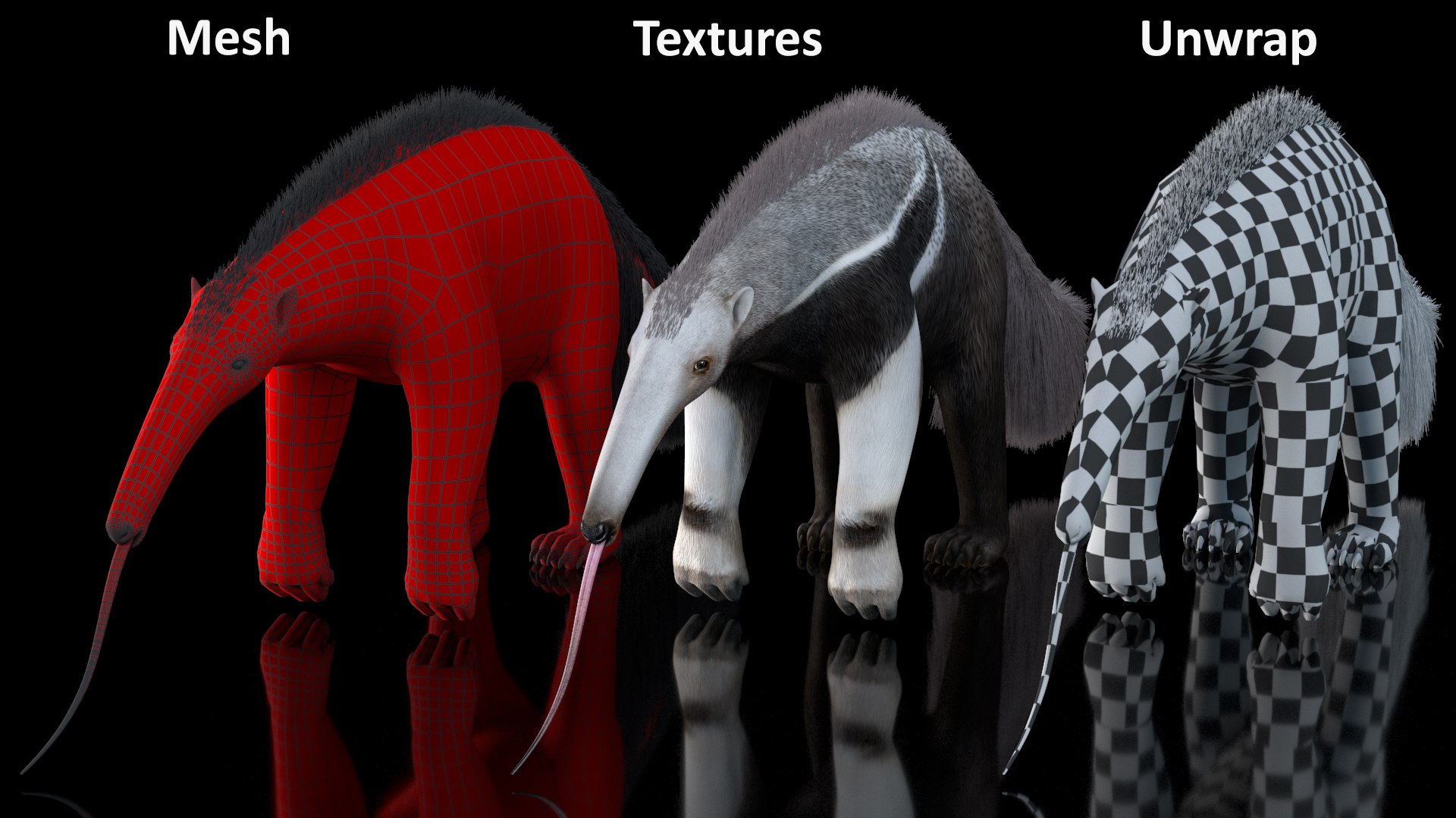 3D model South America Mammals Collection https://p.turbosquid.com/ts-thumb/A3/2ZPoyd/f5/southamericamammalscollectionc4dmodel030/jpg/1692862120/1920x1080/fit_q87/6ba959973131413de663bcfee9b85e0aed7f7cbc/southamericamammalscollectionc4dmodel030.jpg