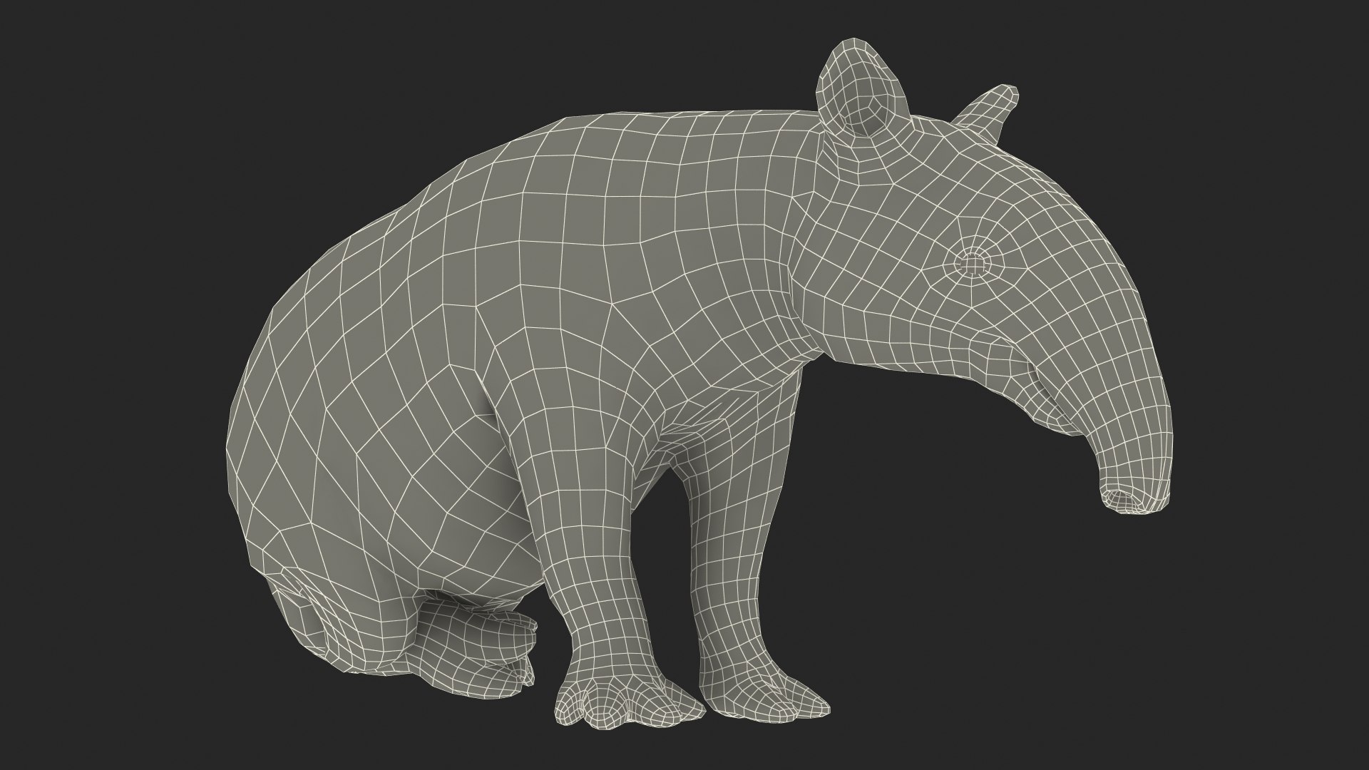 3D model South America Mammals Collection https://p.turbosquid.com/ts-thumb/A3/2ZPoyd/jq/southamericamammalscollectionc4dmodel042/jpg/1692862162/1920x1080/fit_q87/11306de8c6a33410092a1183b522c20da0e29ba2/southamericamammalscollectionc4dmodel042.jpg