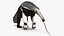 Colección de mamíferos de América del Sur