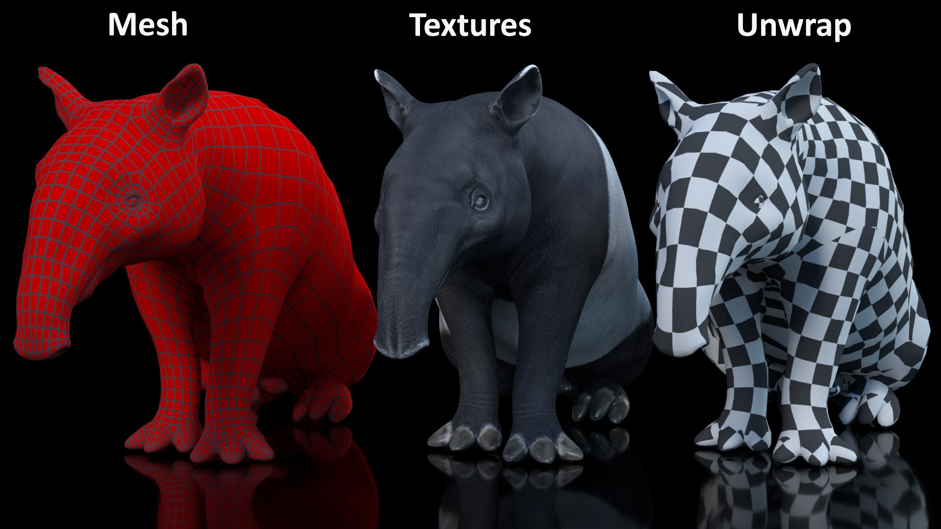 3D model South America Mammals Collection https://p.turbosquid.com/ts-thumb/A3/2ZPoyd/np/southamericamammalscollectionc4dmodel017/jpg/1692862072/1920x1080/fit_q87/6b94c43f82b79e5a8359a045a6981e1ddd5580c7/southamericamammalscollectionc4dmodel017.jpg