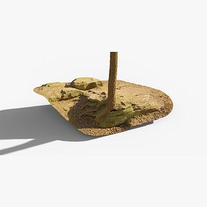 Mossy tree roots on dry soil 3D model