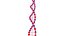obj dna strings