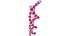 obj dna strings