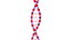 obj dna strings