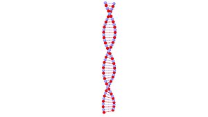 DNA