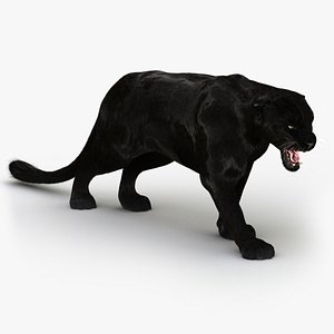 3d obj black panther fur