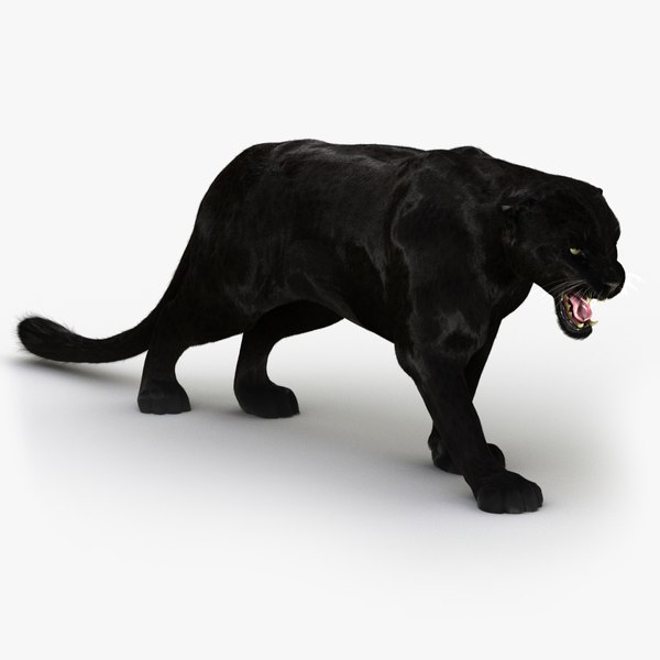 ブラックパンサー（2）（FUR）3Dモデル - TurboSquid 784974