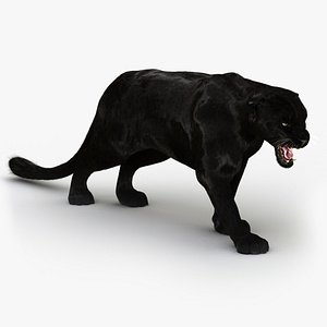 Black Panther 2 FUR