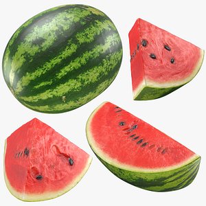 3D Watermelon Set model