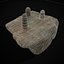 壊れた古代ハラッパ チェス盤
