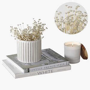 Decor Set 25 Gypsophila