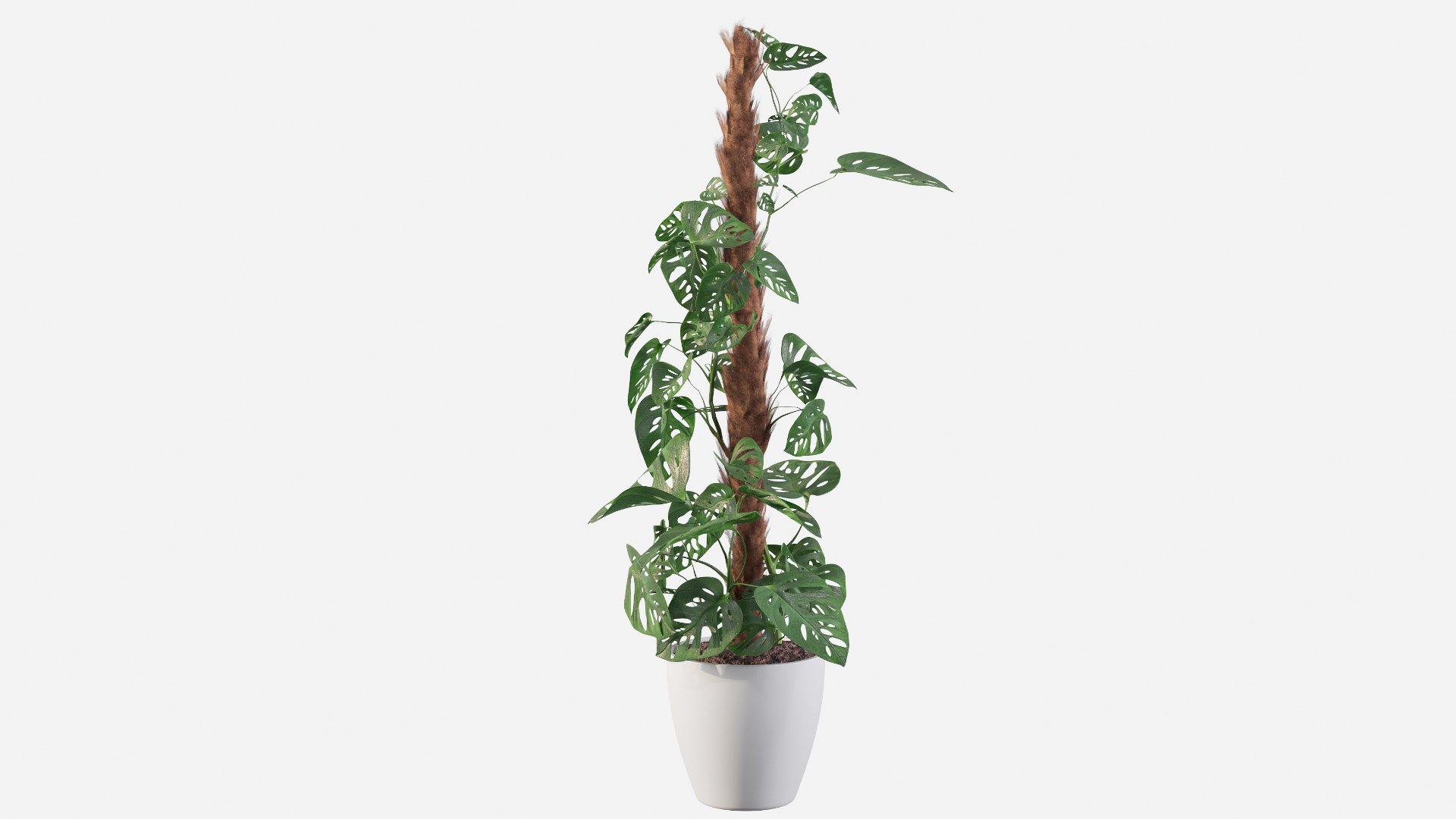 3D model monstera monkey mask https://p.turbosquid.com/ts-thumb/A3/XSvA93/6D/monsteraa/jpg/1653990429/1920x1080/fit_q87/0f459151d6e6bf4cc5153dcd55cb52414a9d0e71/monsteraa.jpg