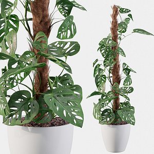 3D model monstera monkey mask