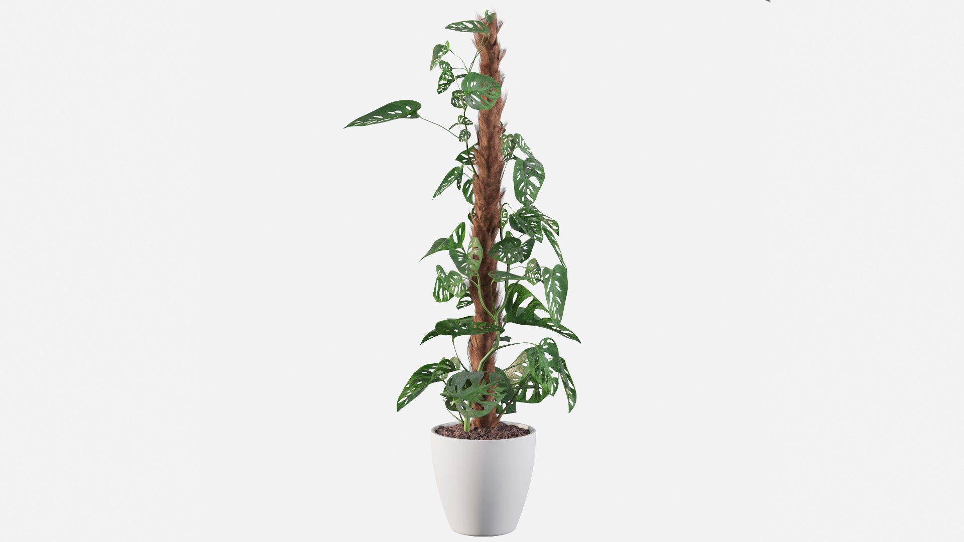 3D model monstera monkey mask https://p.turbosquid.com/ts-thumb/A3/XSvA93/pv/monsterad/jpg/1653990428/1920x1080/fit_q87/cb0ef316eb99c9150594e3b46463b3997934a454/monsterad.jpg
