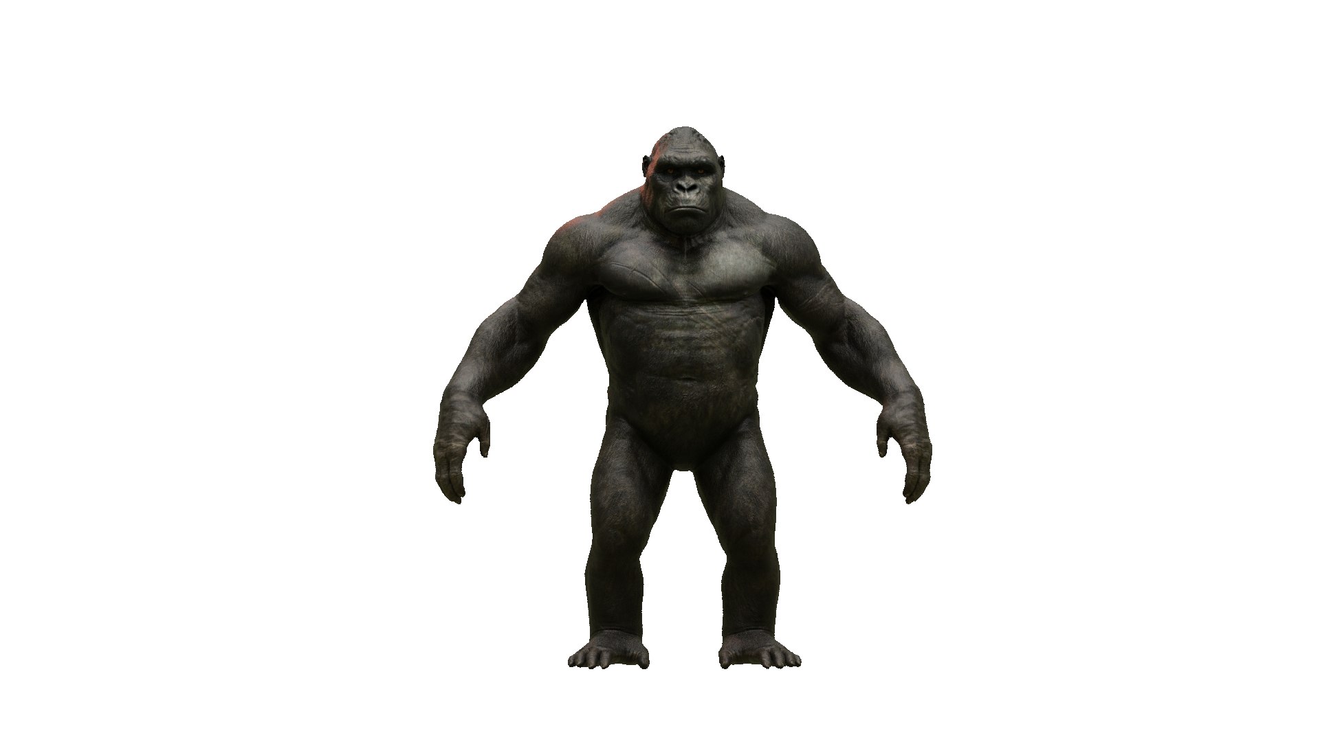 Realistic Monkey Kong For Movies or Games 3D model https://p.turbosquid.com/ts-thumb/A3/aZ7S2r/4n/imagename68/jpg/1739216202/1920x1080/fit_q87/b9e6e1a892dc2081377ae5f60f8bb3e4e5d2b883/imagename68.jpg