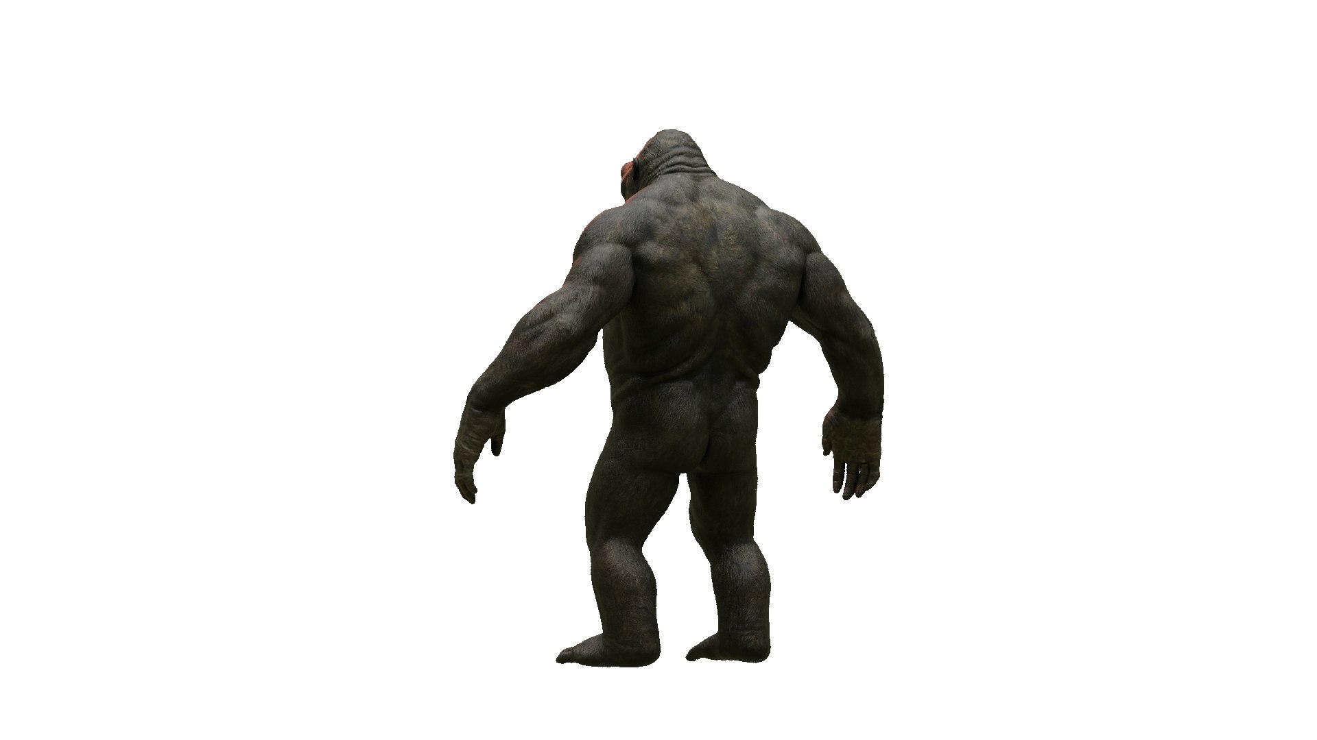 Realistic Monkey Kong For Movies or Games 3D model https://p.turbosquid.com/ts-thumb/A3/aZ7S2r/fe/imagename18/jpg/1739214875/1920x1080/fit_q87/02ac71b4f3137eb7e2583ba4af59db05693dde36/imagename18.jpg