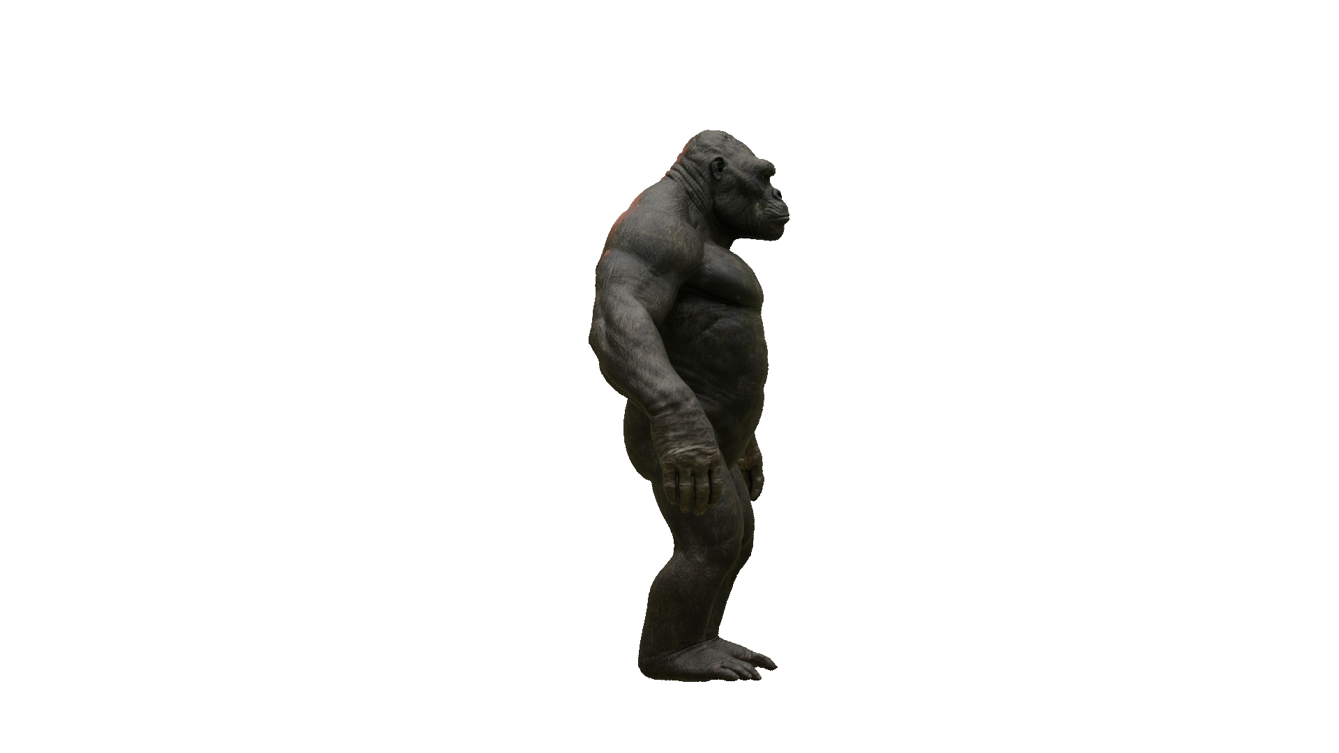 Realistic Monkey Kong For Movies or Games 3D model https://p.turbosquid.com/ts-thumb/A3/aZ7S2r/o3/imagename/jpg/1739212518/1920x1080/turn_fit_q99/05fadb029808c111822f0f24acfa33576e4e11cd/imagename-1.jpg