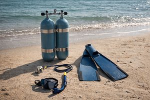 Scuba Diving Gear Twin Tanks  Fins  Mask Regulator 3D