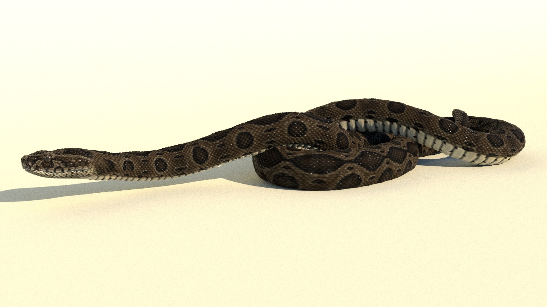 Rigged Russell S Viper Animation 3d Model - Turbosquid 1577615