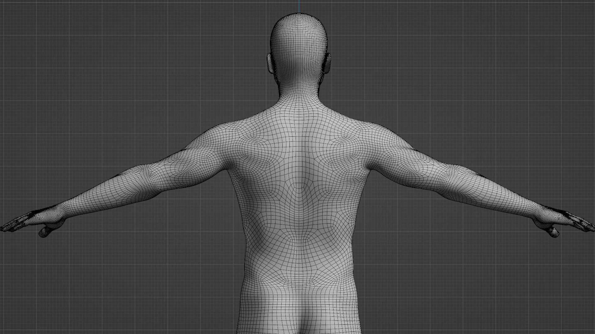 Stylized Human Male With Perfect Anatomy Clean Mesh 3D Model