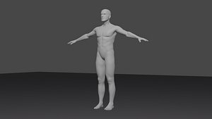 Stylized Human Male with Perfect Anatomy Clean Mesh