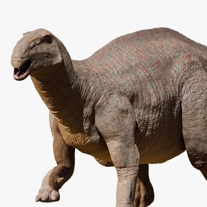 Iguanodon 3D model