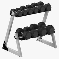 Dumbell Stand Type 02 Clean and Dirty