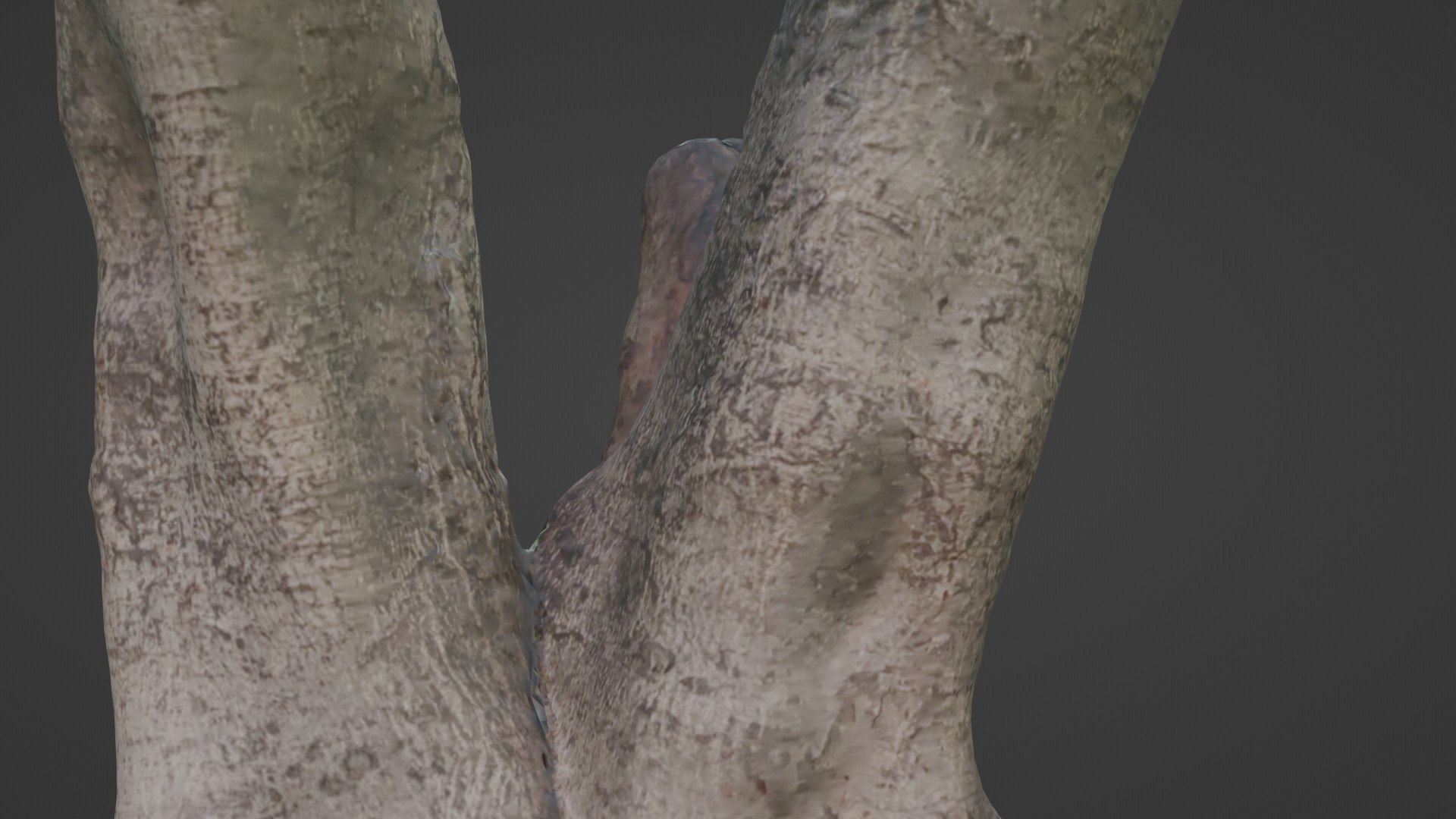 3D Model Tree With Roots - TurboSquid 2329900