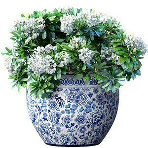 3D Bouquet of white flowers in a potted vase for decoration