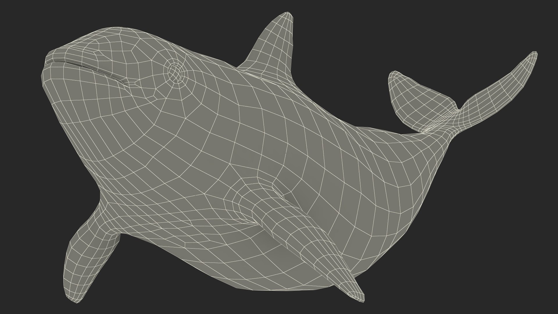 Vaquita Swimming Pose model - TurboSquid 2157016