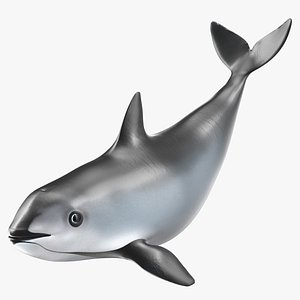Vaquita Swimming Pose