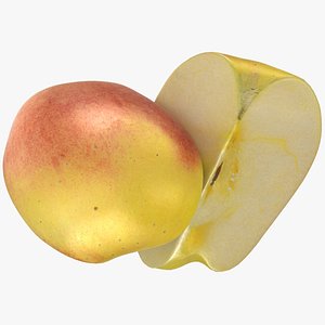 3D Ambrosia Apple Slice