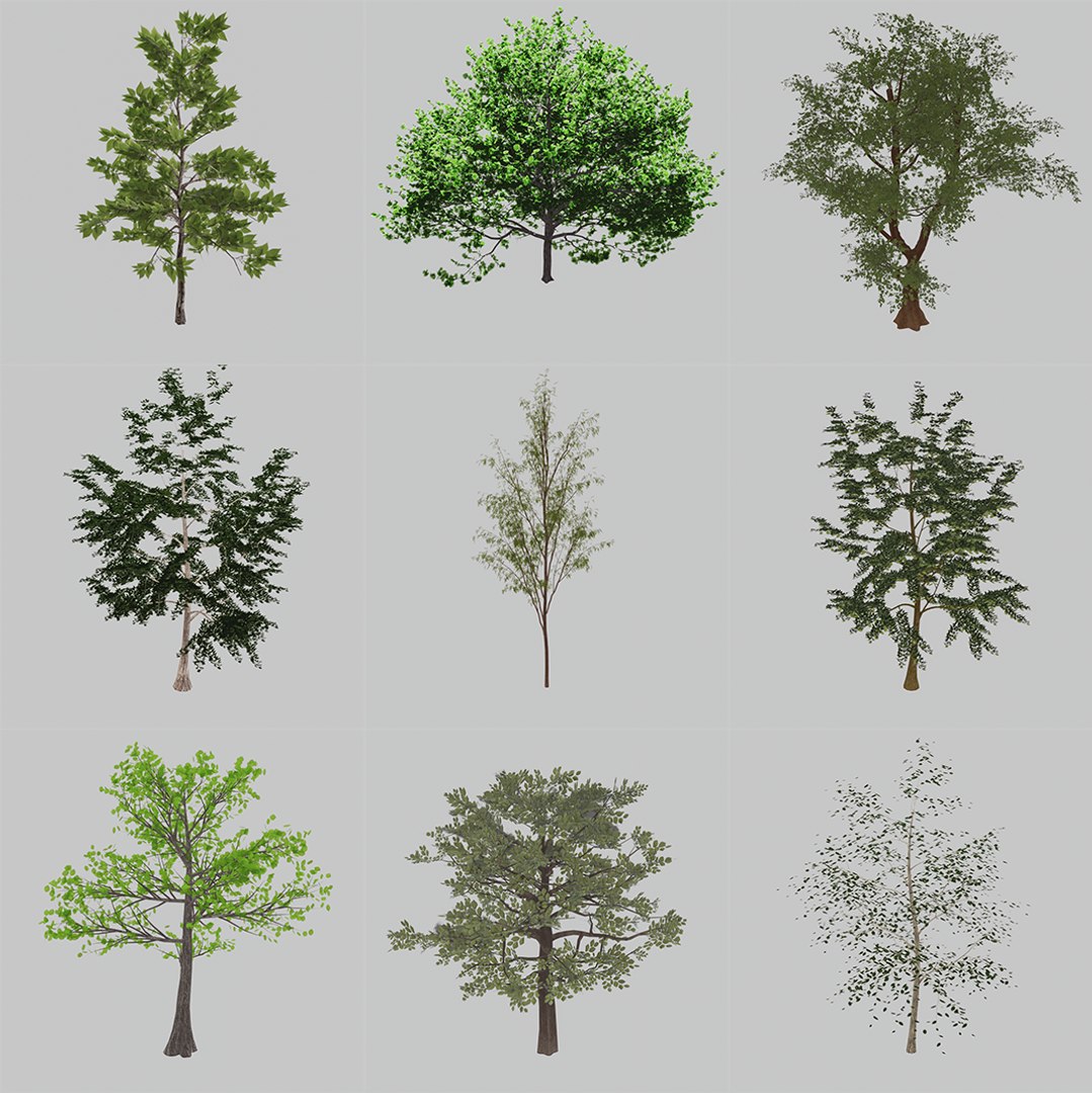 3D Tree Set Blender Low Poly - TurboSquid 1990951