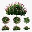 Plant rose set 03