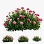 Plant rose set 03