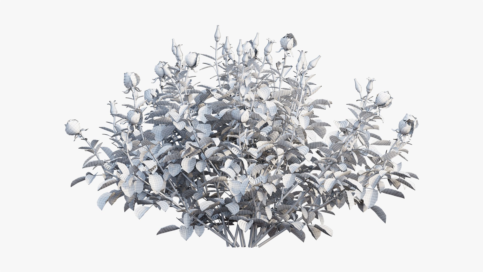 plant rose set 03 3D model https://p.turbosquid.com/ts-thumb/A4/XYF6NM/JFYxtPCB/10/jpg/1603563660/1920x1080/fit_q87/2442e913a18ca0195285f66f8e78115735ef609e/10.jpg