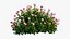 Plant rose set 03