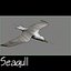 Gaviota