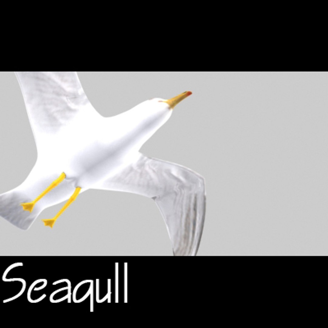 seagull ready games 3d model https://p.turbosquid.com/ts-thumb/A4/pTsw0s/9oIAPhZx/sgf/jpg/1285528018/1920x1080/fit_q87/583dbb4a1a1eefba99b895a640a1b820c4632325/sgf.jpg