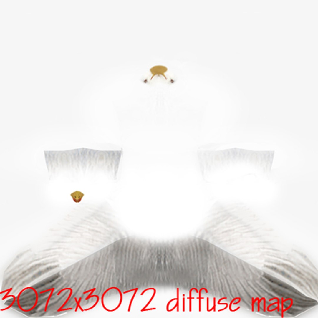 seagull ready games 3d model https://p.turbosquid.com/ts-thumb/A4/pTsw0s/NshodtuK/sgk/jpg/1285531411/1920x1080/fit_q87/dc2ab6c14e360b07b803dd3f6c670478718826cb/sgk.jpg