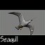 Gaviota