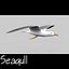 Gaviota