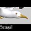Gaviota