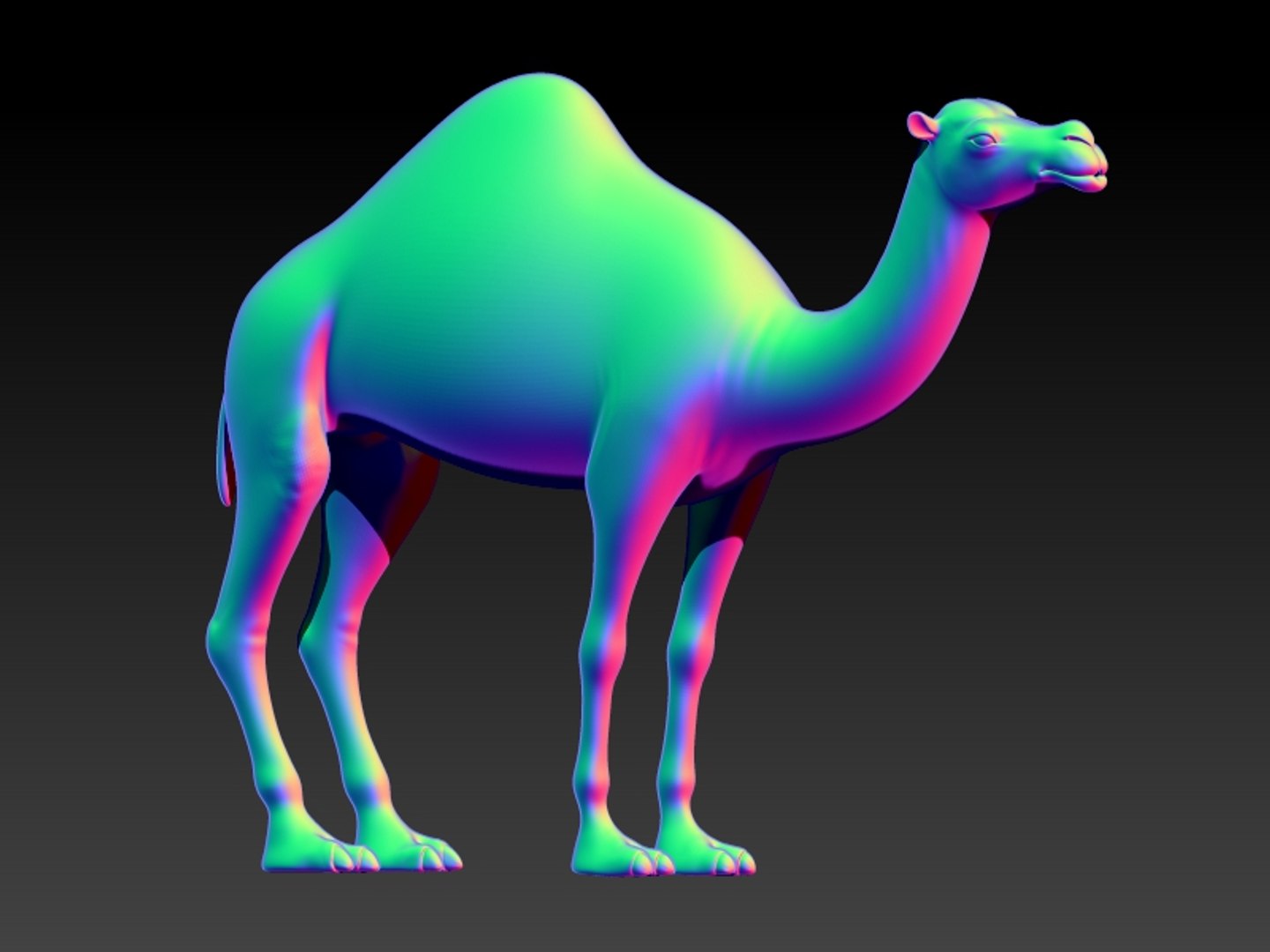 max camel https://p.turbosquid.com/ts-thumb/A4/x1fn8k/x3635NAl/c7/jpg/1402871460/1920x1080/fit_q87/1624003b158bc6d6be90891dbb8408173338648c/c7.jpg