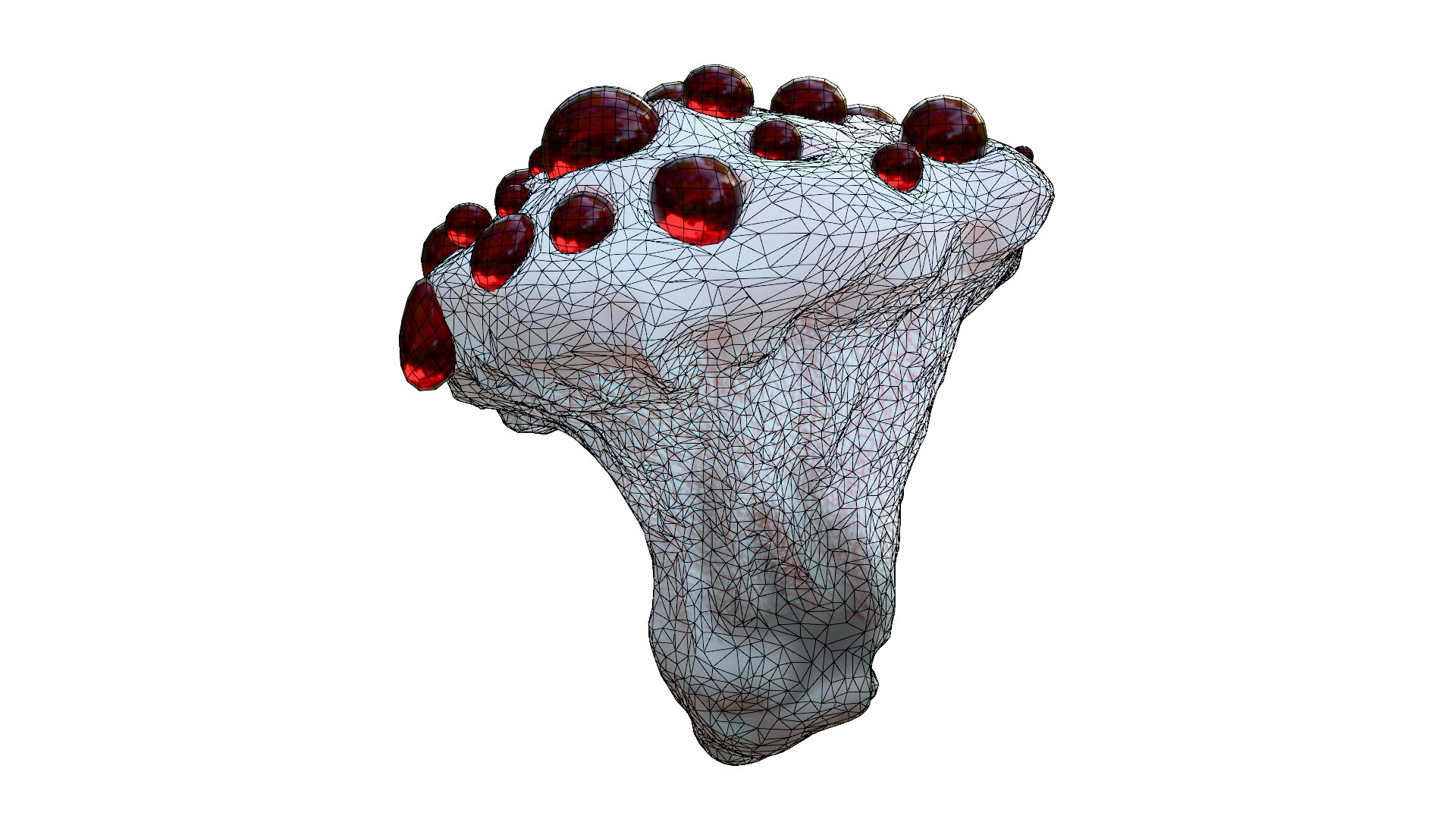 Hydnellum Peckii 3D model https://p.turbosquid.com/ts-thumb/A4/xCQgNV/Ir/wire11/png/1762667675/1920x1080/fit_q87/1cb592f21dd6a5a98e18d7aadb99dd39c9be9d6f/wire11.jpg